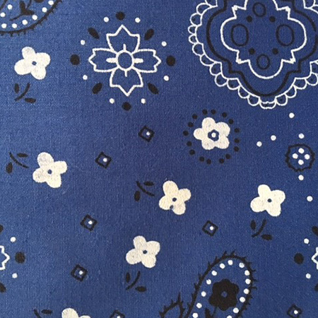 Bandana bleu